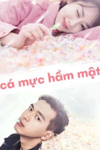 Cá Mực Hầm Mật