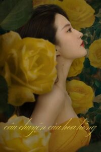 Câu Chuyện Của Hoa Hồng