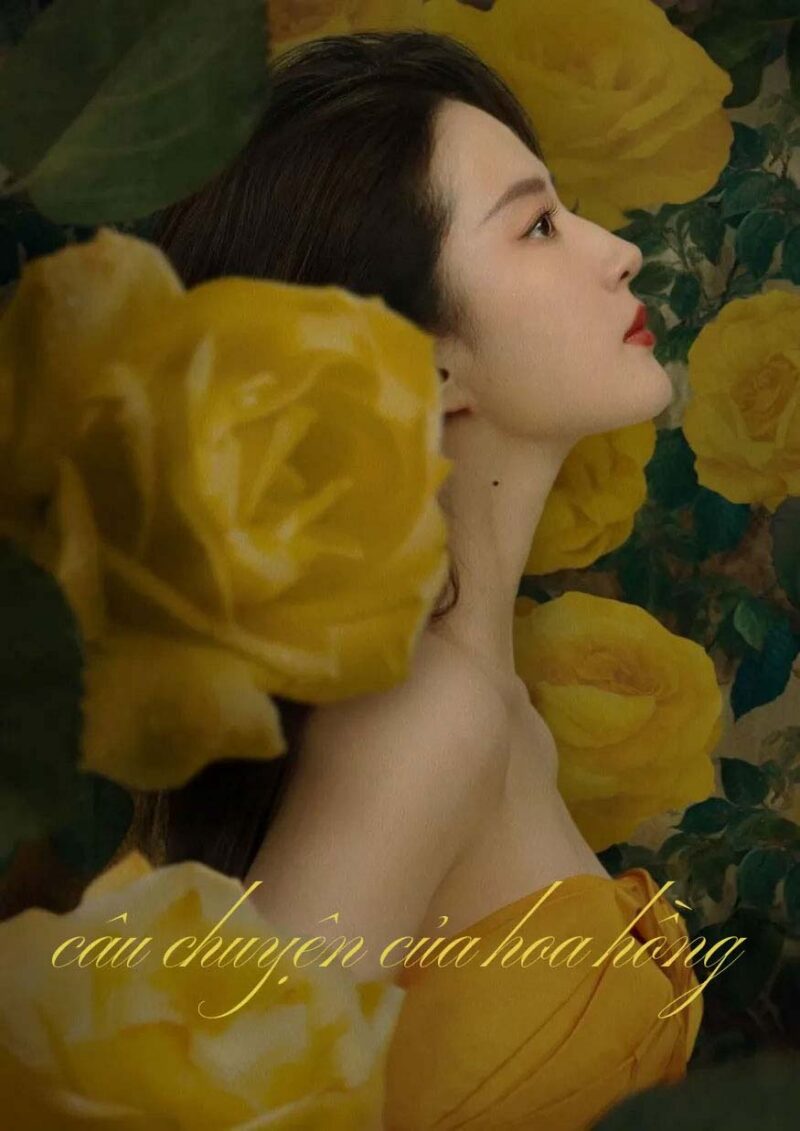 câu chuyện của hoa hồng
